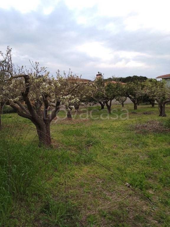 casa indipendente in vendita a Nurachi