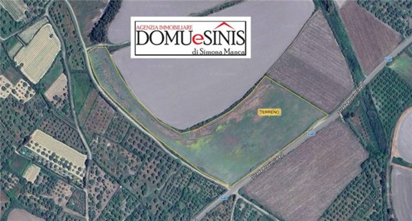 terreno agricolo in vendita a Nurachi