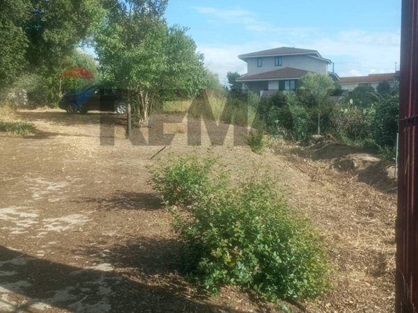casa indipendente in vendita ad Ollastra