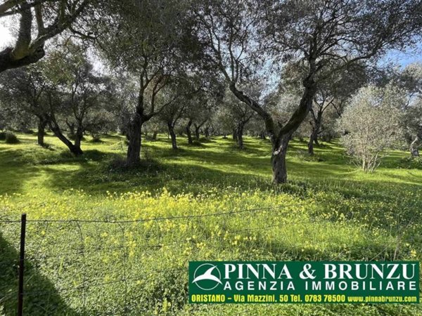 terreno edificabile in vendita ad Oristano in zona Sili