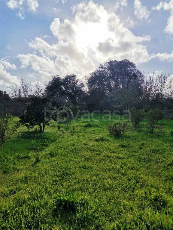 terreno agricolo in vendita ad Oristano in zona Sili