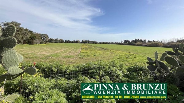 terreno agricolo in vendita ad Oristano in zona Donigala