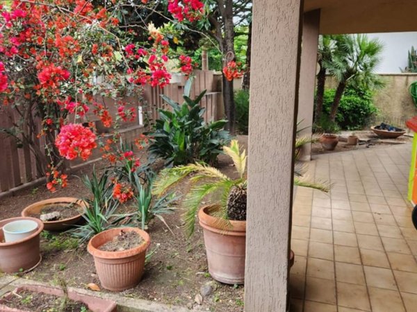 casa indipendente in vendita ad Oristano