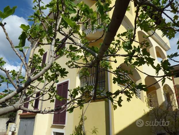 casa indipendente in vendita ad Oristano