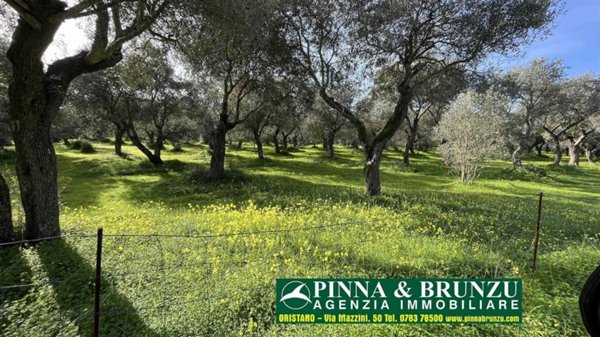 terreno edificabile in vendita ad Oristano in zona Sili