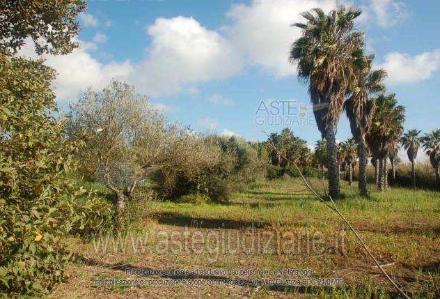 terreno edificabile in vendita ad Oristano in zona Donigala