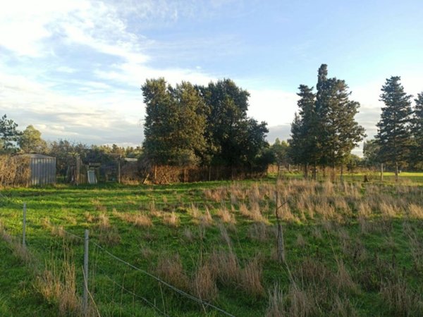 terreno agricolo in vendita ad Oristano