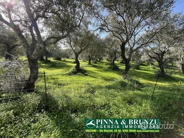 terreno edificabile in vendita ad Oristano in zona Sili