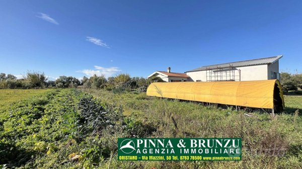 azienda agricola in vendita ad Oristano in zona Nuraxinieddu