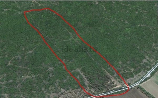 terreno agricolo in vendita ad Oristano