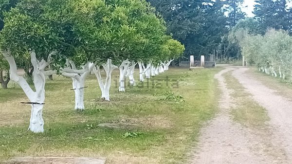casa indipendente in vendita ad Oristano