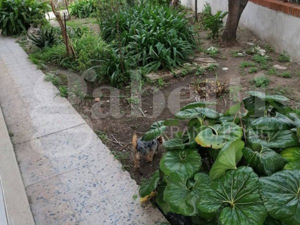casa indipendente in vendita ad Oristano in zona Centro storico