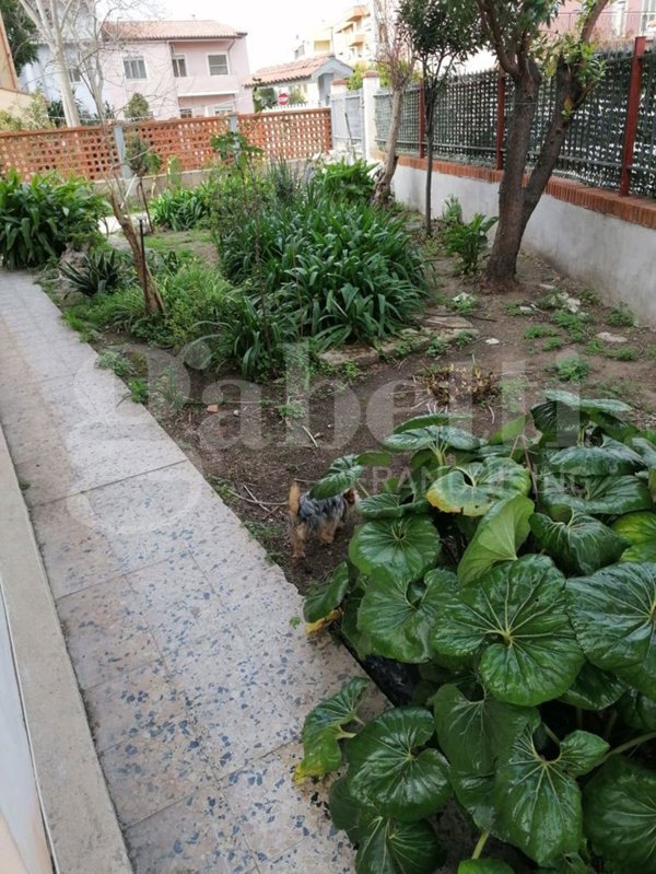 casa indipendente in vendita ad Oristano in zona Centro storico