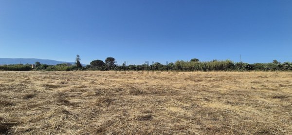terreno agricolo in vendita ad Oristano in zona Fenosu