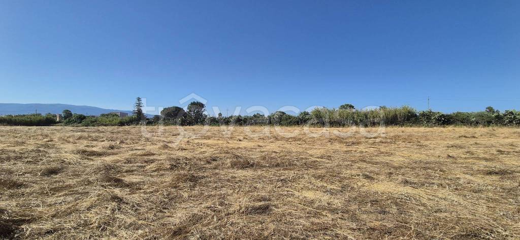 terreno agricolo in vendita ad Oristano in zona Fenosu