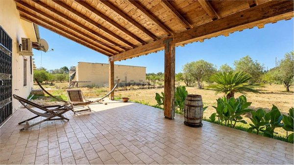 esavano in vendita ad Oristano in zona Donigala