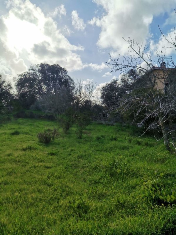 terreno in vendita ad Oristano in zona Sili