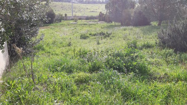 terreno edificabile in vendita a Palmas Arborea