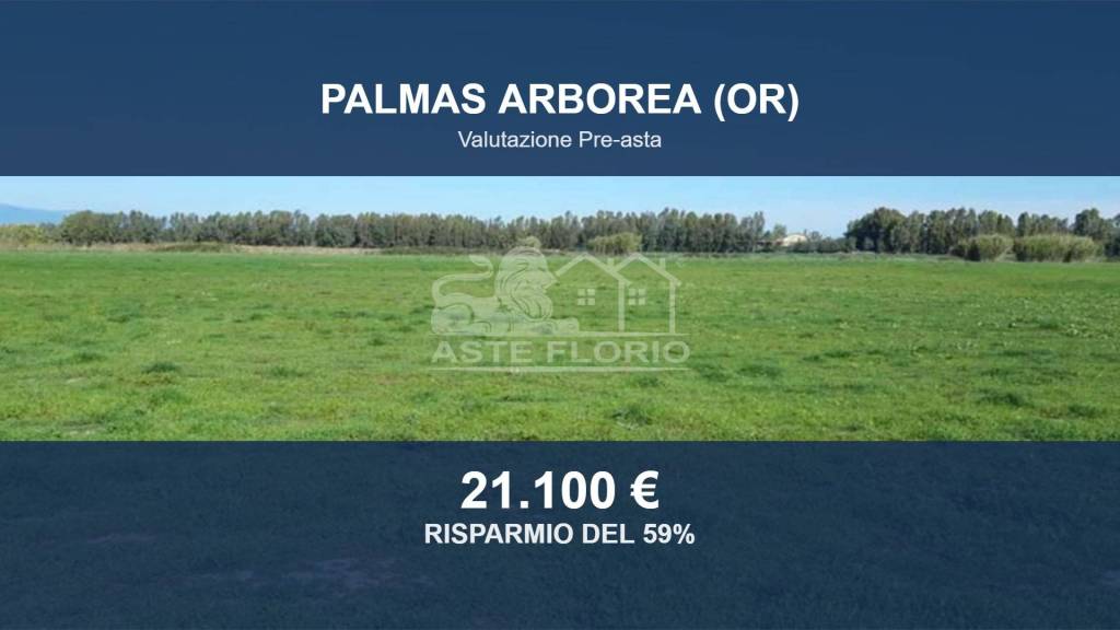 terreno agricolo in vendita a Palmas Arborea