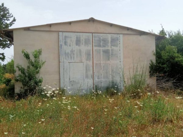 locale commerciale in vendita a Riola Sardo