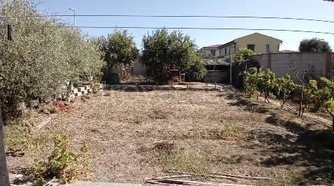 terreno agricolo in vendita a Riola Sardo