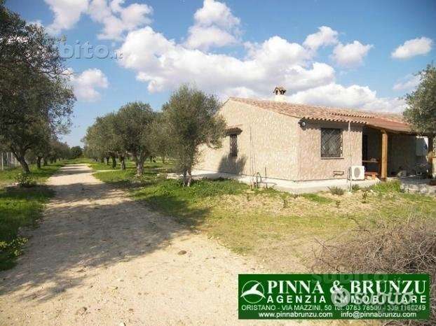 terreno edificabile in vendita a Riola Sardo
