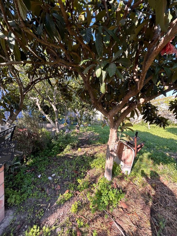 appartamento in vendita a Riola Sardo