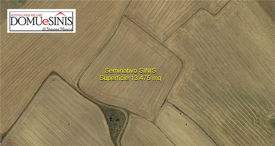 terreno agricolo in vendita a Riola Sardo