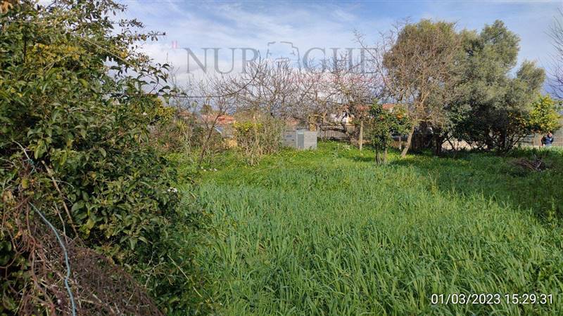 terreno edificabile in vendita a Santa Giusta