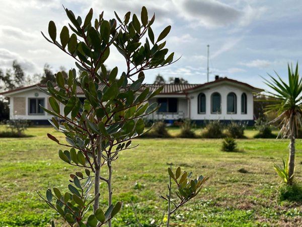 casa indipendente in vendita a Santa Giusta