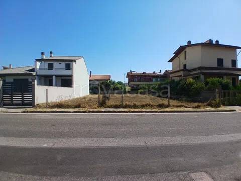 immagine annuncio 0 di 1