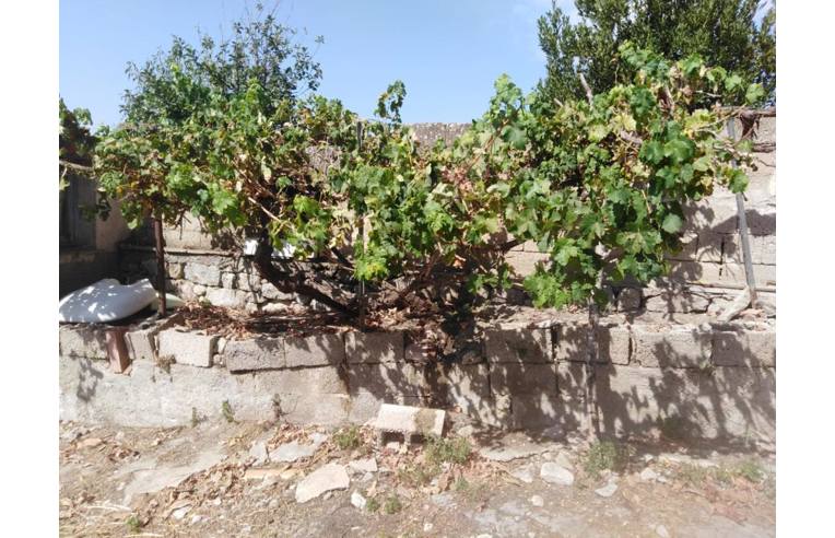 casa indipendente in vendita a Villa Sant'Antonio