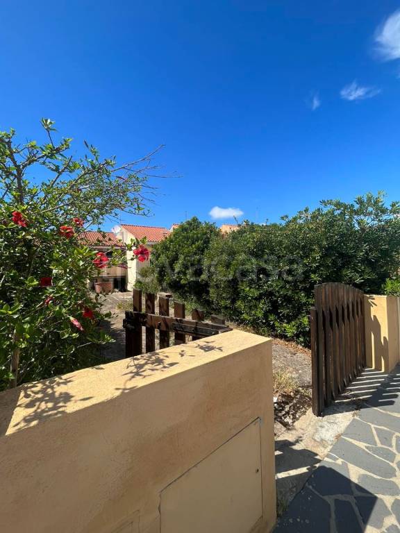 immagine annuncio 0 di 14