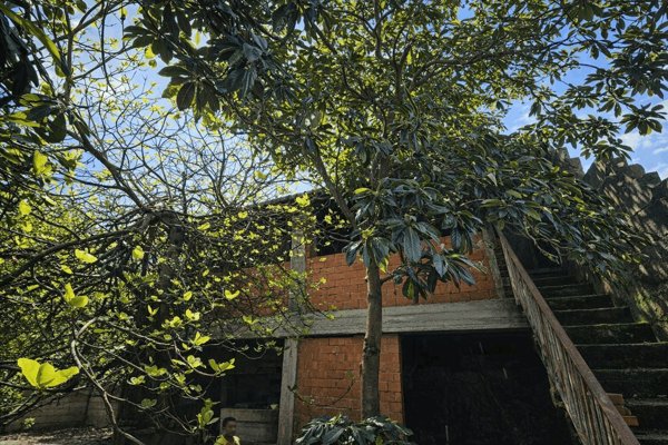 casa indipendente in vendita a Terralba