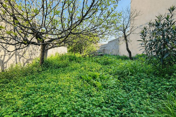 appartamento in vendita a Terralba