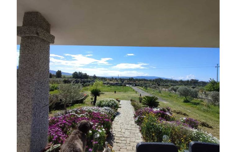 casa indipendente in vendita a Zerfaliu