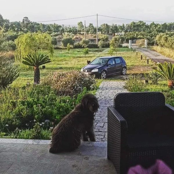 casa indipendente in vendita a Zerfaliu
