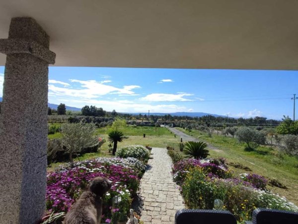 casa indipendente in vendita a Zerfaliu