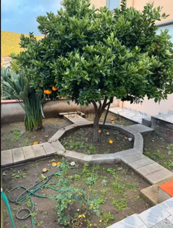 casa indipendente in vendita a Bosa