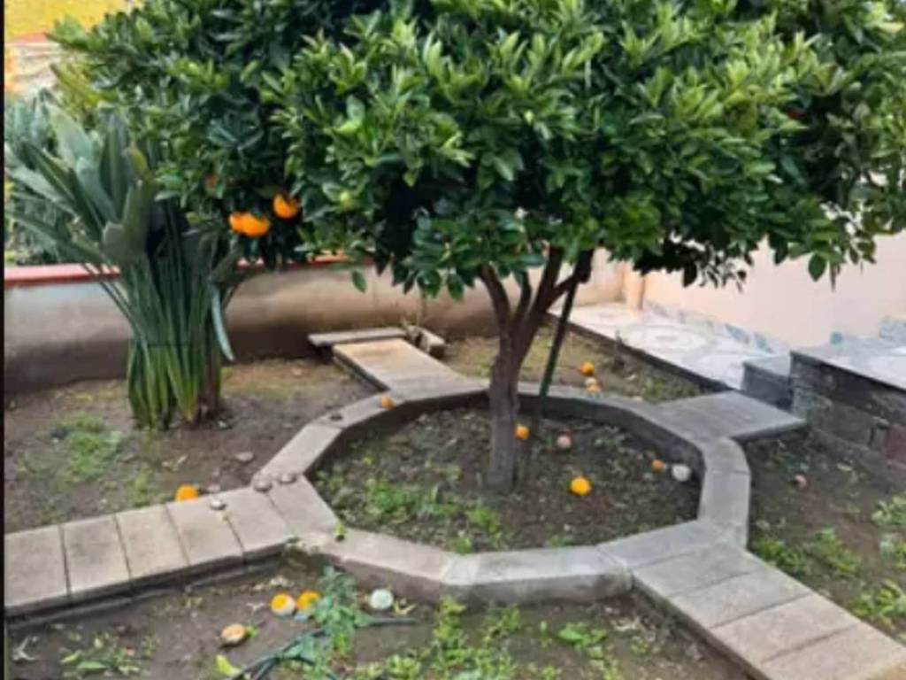 casa indipendente in vendita a Bosa