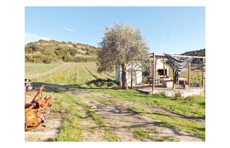 casa indipendente in vendita a Bosa