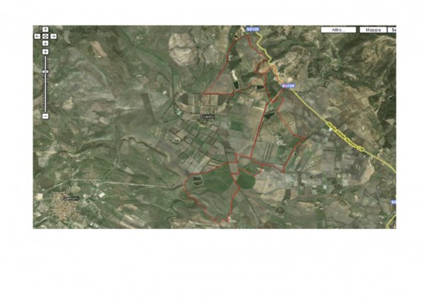 terreno agricolo in vendita a Laconi