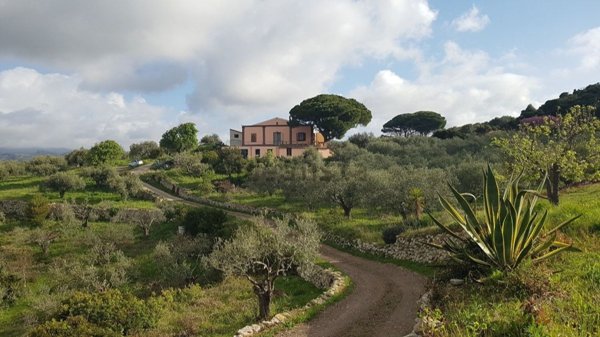 casa indipendente in vendita a Magomadas