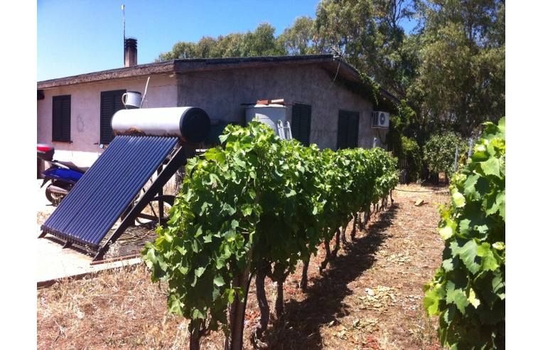 casa indipendente in vendita a Suni