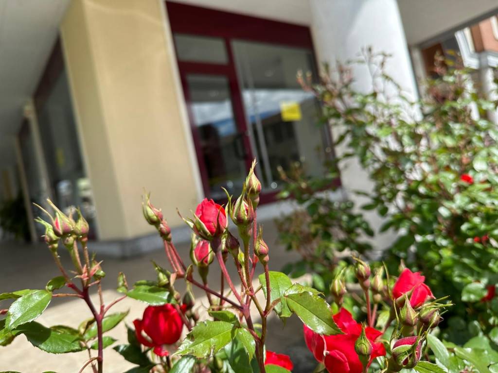 negozio in vendita a Biella in zona Centro Città