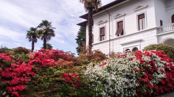 casa indipendente in vendita a Biella