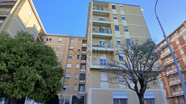 appartamento in vendita a Biella in zona Via Torino