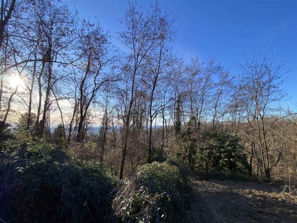 appartamento in vendita a Bioglio