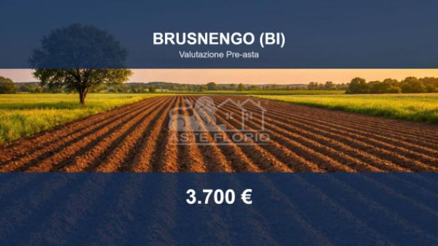 terreno agricolo in vendita a Brusnengo
