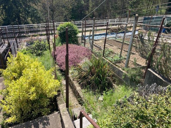 casa indipendente in vendita a Camandona